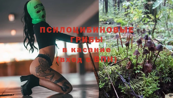 тгк Балабаново