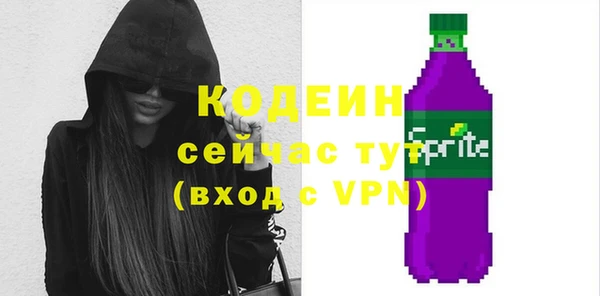круглые Гусев