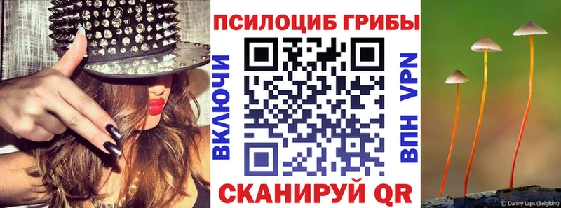 Галлюциногенные грибы мицелий  магазин продажи наркотиков  Сертолово 